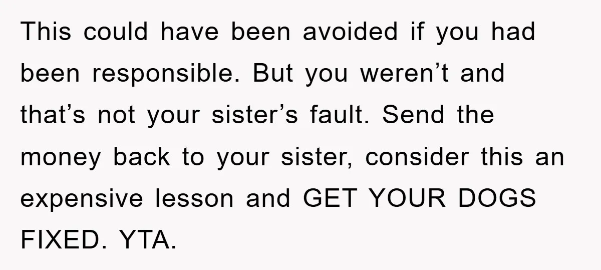 This could have been avoided if you had been responsible. But you weren’t and that’s not your sister’s fault. Send the money back to your sister, consider this an expensive...