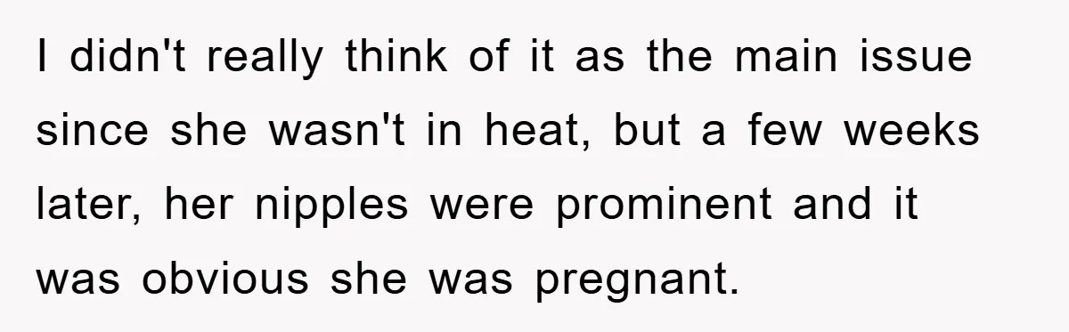 I didn't really think of it as the main issue since she wasn't in heat, but a few weeks later, her nipples were prominent and it was obvious she was...