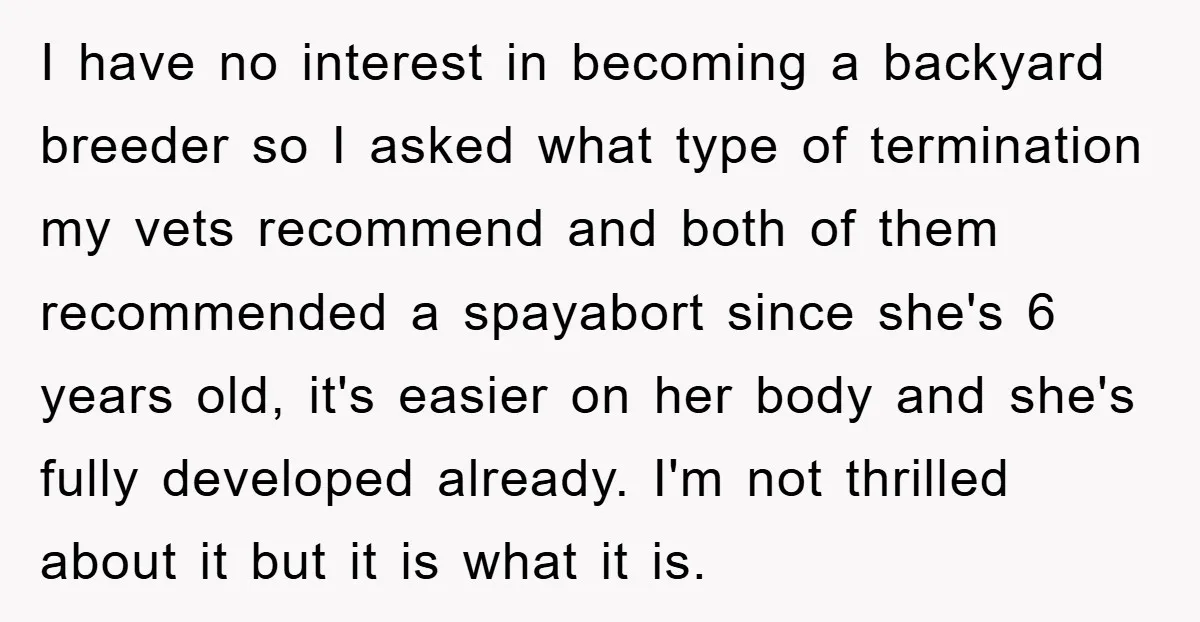 I have no interest in becoming a backyard breeder so I asked what type of termination my vets recommend and both of them recommended a spayabort since she's 6 years...