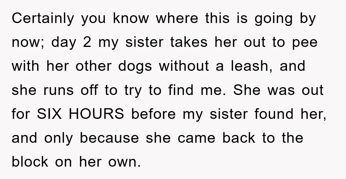 Certainly you know where this is going by now; day 2 my sister takes her out to pee with her other dogs without a leash, and she runs off to...