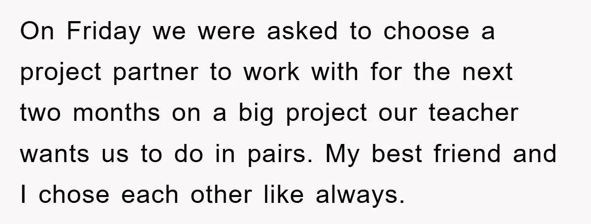 On Friday we were asked to choose a project partner to work with for the next two months on a big project our teacher wants us to do in pairs....