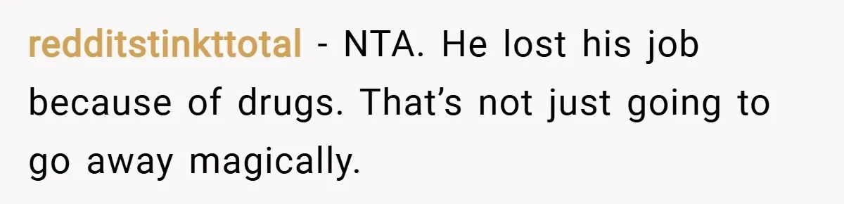 redditstinkttotal − NTA. He lost his job because of drugs. That’s not just going to go away magically.