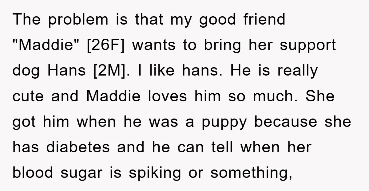 The problem is that my good friend "Maddie" [26F] wants to bring her support dog Hans [2M]. I like hans. He is really cute and Maddie loves him so much....