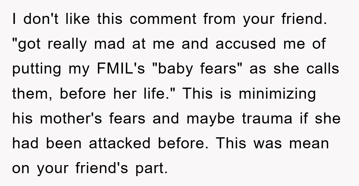 I don't like this comment from your friend. "got really mad at me and accused me of putting my FMIL's "baby fears" as she calls them, before her life." This...