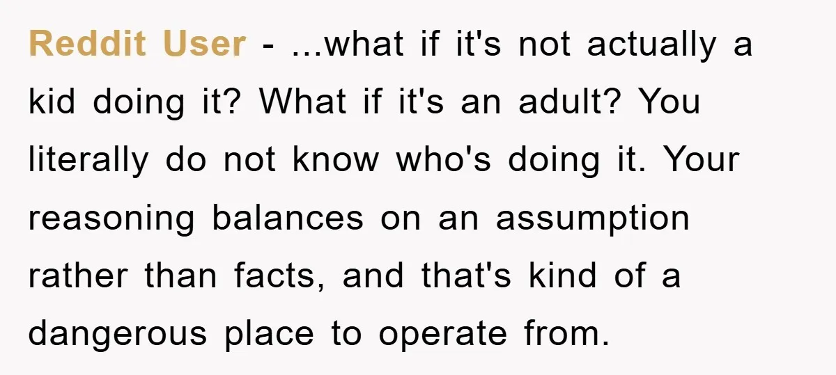 Reddit User - ...what if it's not actually a kid doing it? What if it's an adult? You literally do not know who's doing it. Your reasoning balances on an...
