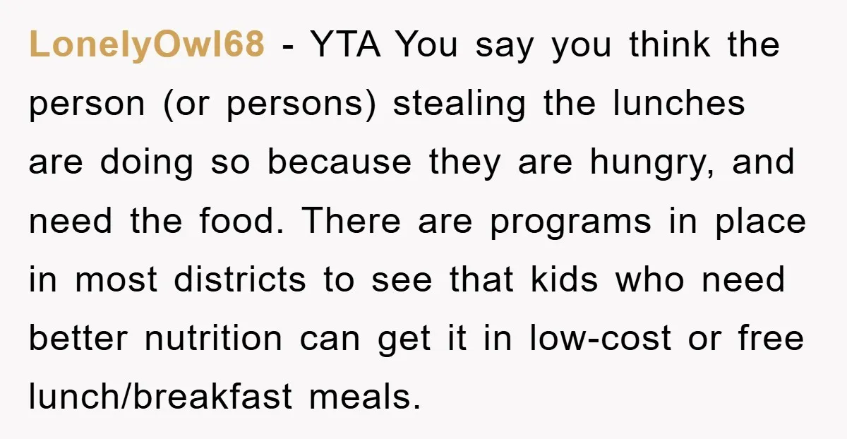 LonelyOwl68 - YTA You say you think the person (or persons) stealing the lunches are doing so because they are hungry, and need the food. There are programs in place...