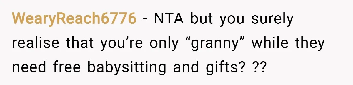 WearyReach6776 − NTA but you surely realise that you’re only “granny” while they need free babysitting and gifts? ??