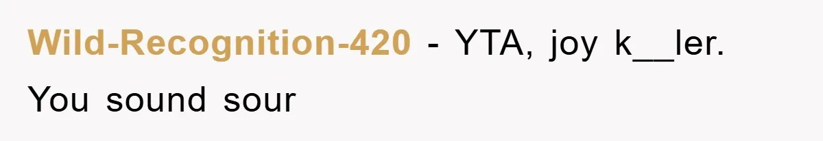 Wild-Recognition-420 - YTA, joy k__ler. You sound sour