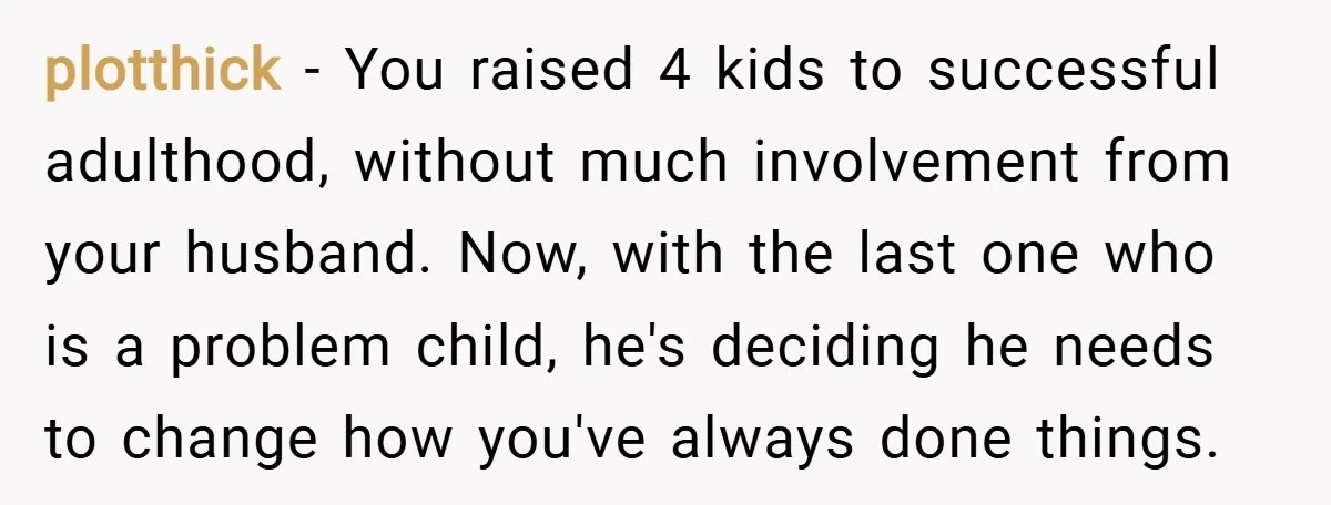 plotthick − You raised 4 kids to successful adulthood, without much involvement from your husband. Now, with the last one who is a problem child, he's deciding he needs to...