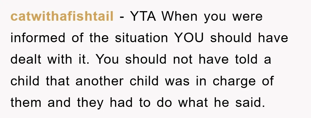 catwithafishtail - YTA When you were informed of the situation YOU should have dealt with it. You should not have told a child that another child was in charge of...
