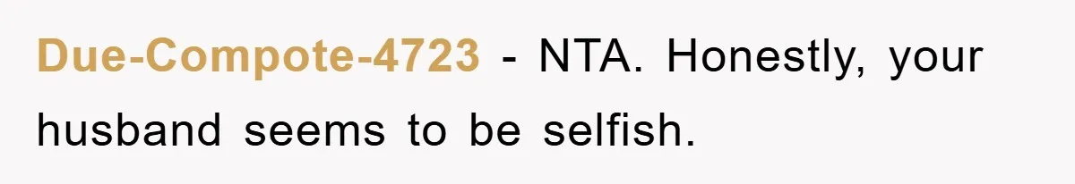 Due-Compote-4723 - NTA. Honestly, your husband seems to be selfish.