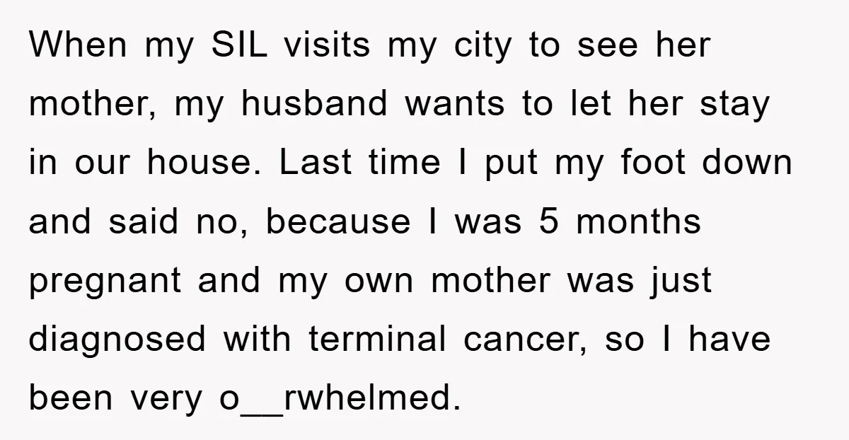 When my SIL visits my city to see her mother, my husband wants to let her stay in our house. Last time I put my foot down and said no,...