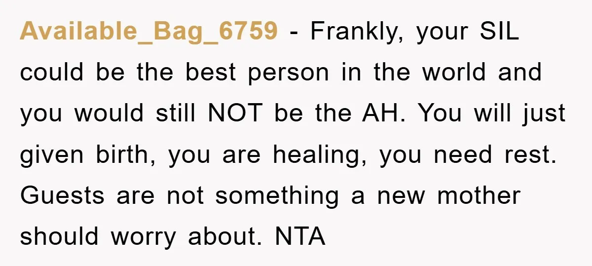 Available_Bag_6759 − Frankly, your SIL could be the best person in the world and you would still NOT be the AH. You will just given birth, you are healing, you...