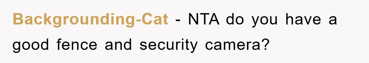 Backgrounding-Cat - NTA do you have a good fence and security camera?