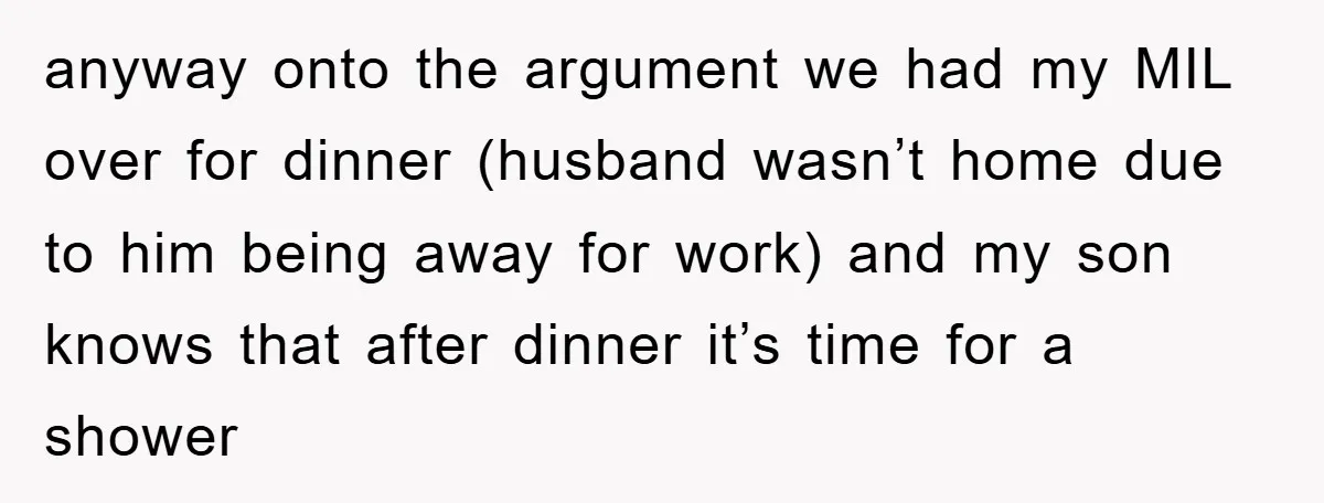 anyway onto the argument we had my MIL over for dinner (husband wasn’t home due to him being away for work) and my son knows that after dinner it’s time...