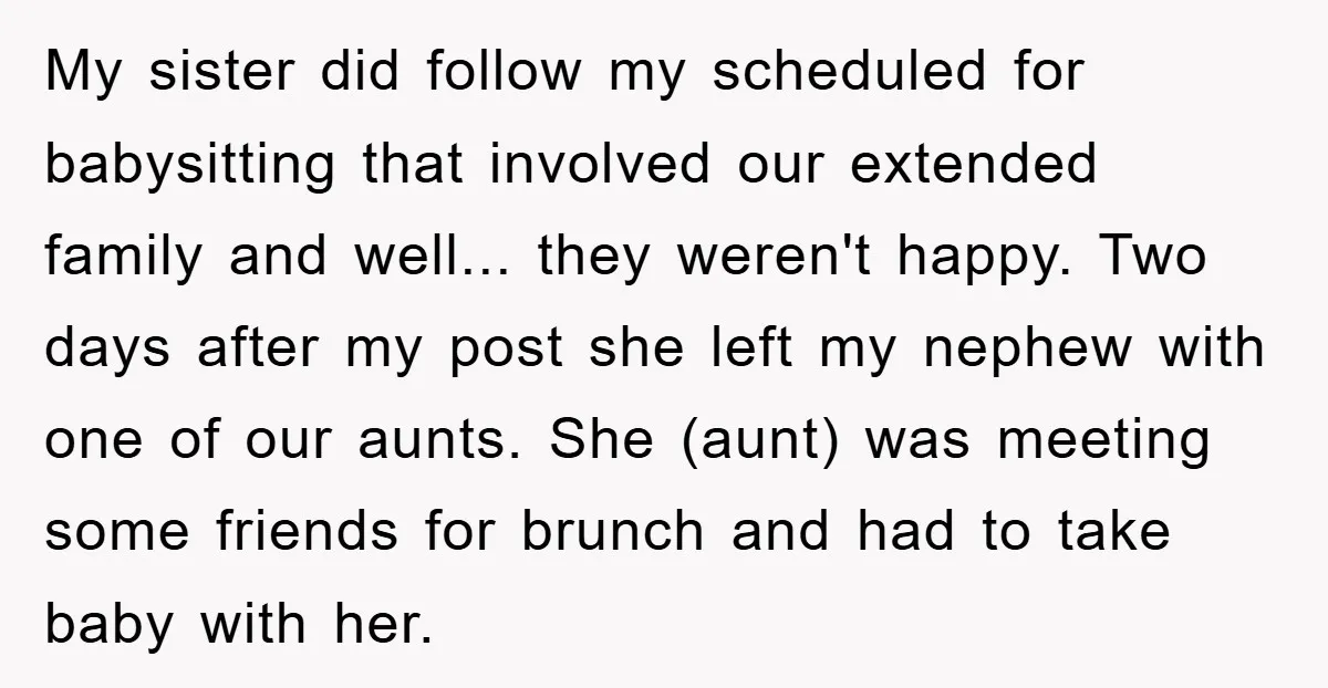 My sister did follow my scheduled for babysitting that involved our extended family and well... they weren't happy. Two days after my post she left my nephew with one of...