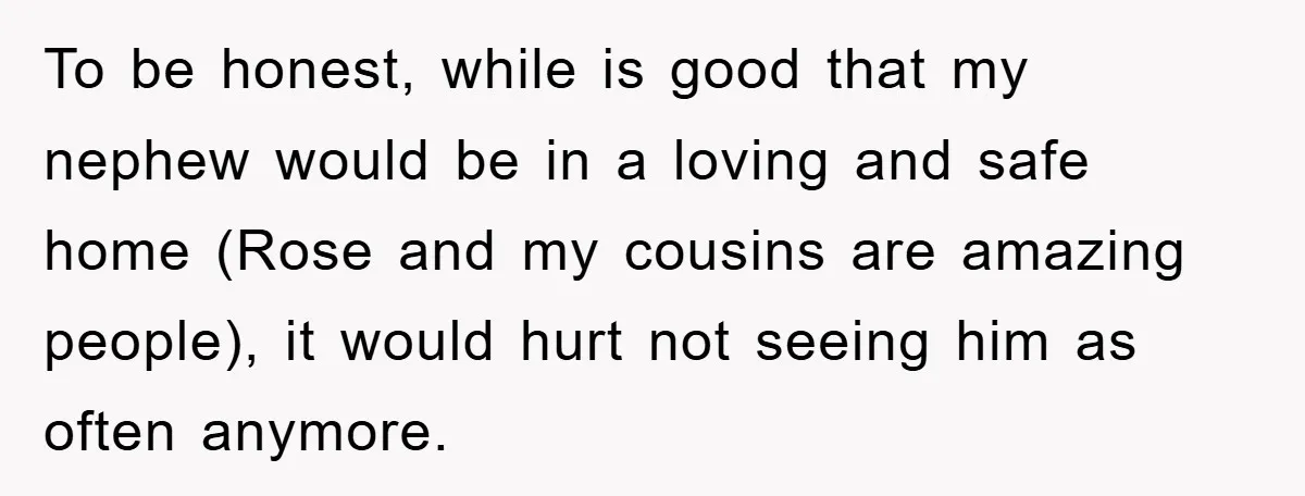 To be honest, while is good that my nephew would be in a loving and safe home (Rose and my cousins are amazing people), it would hurt not seeing him...