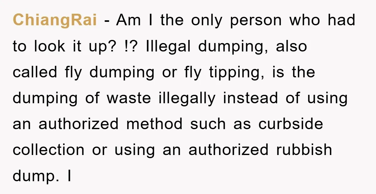 ChiangRai − Am I the only person who had to look it up? !? Illegal dumping, also called fly dumping or fly tipping, is the dumping of waste illegally instead...