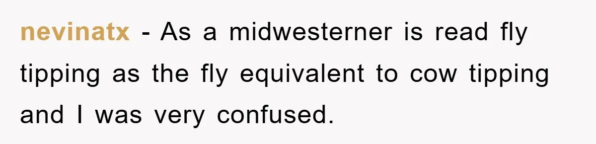 nevinatx − As a midwesterner is read fly tipping as the fly equivalent to cow tipping and I was very confused.