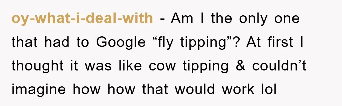 oy-what-i-deal-with − Am I the only one that had to Google “fly tipping”? At first I thought it was like cow tipping & couldn’t imagine how how that would work...