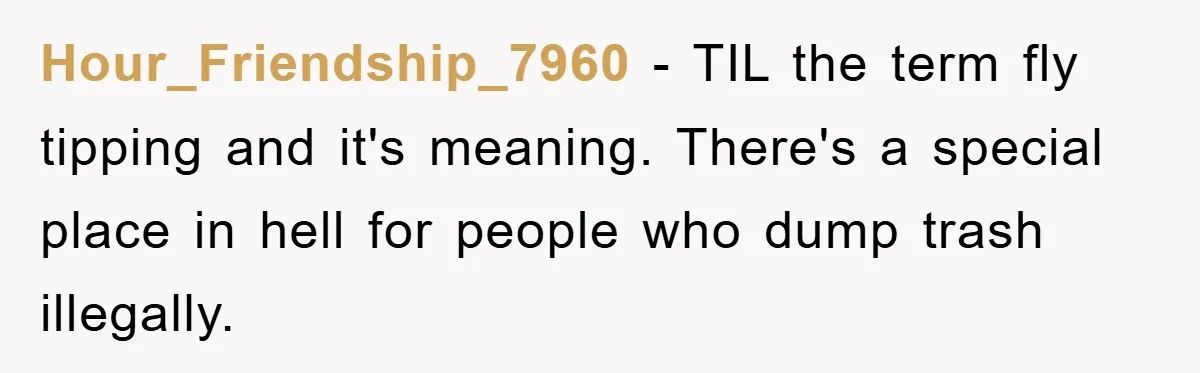 Hour_Friendship_7960 − TIL the term fly tipping and it's meaning. There's a special place in hell for people who dump trash illegally.