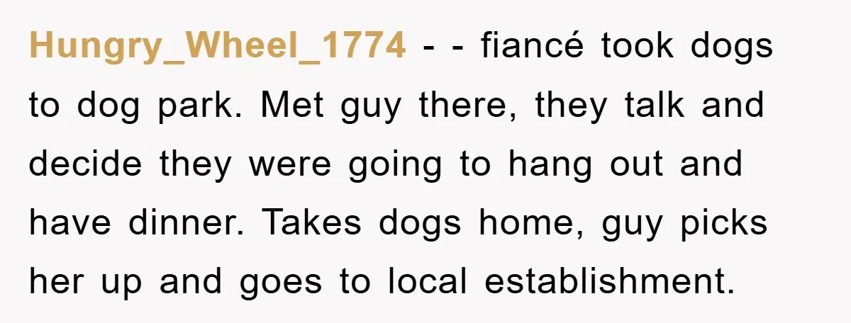 Hungry_Wheel_1774 − - fiancé took dogs to dog park. Met guy there, they talk and decide they were going to hang out and have dinner. Takes dogs home, guy picks...