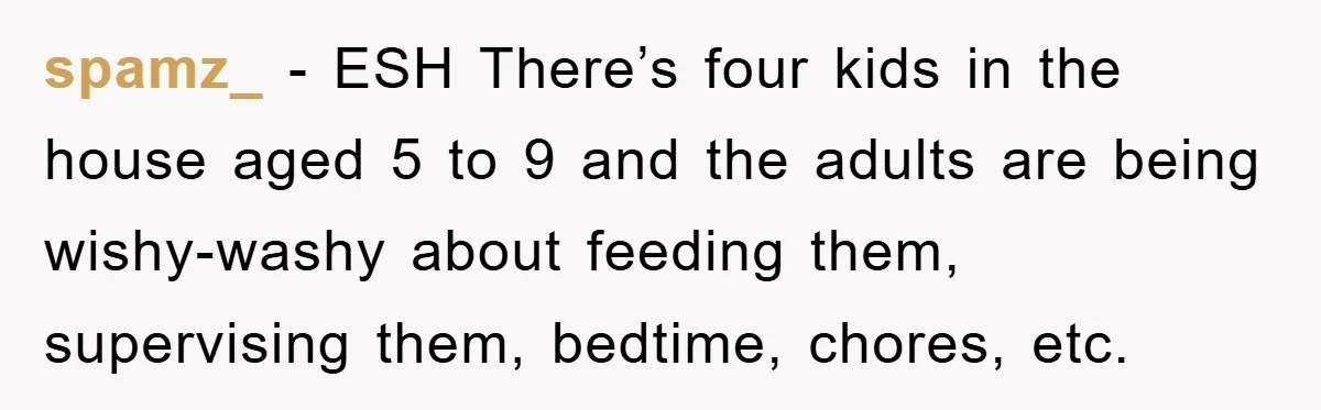 spamz_ - ESH There’s four kids in the house aged 5 to 9 and the adults are being wishy-washy about feeding them, supervising them, bedtime, chores, etc.