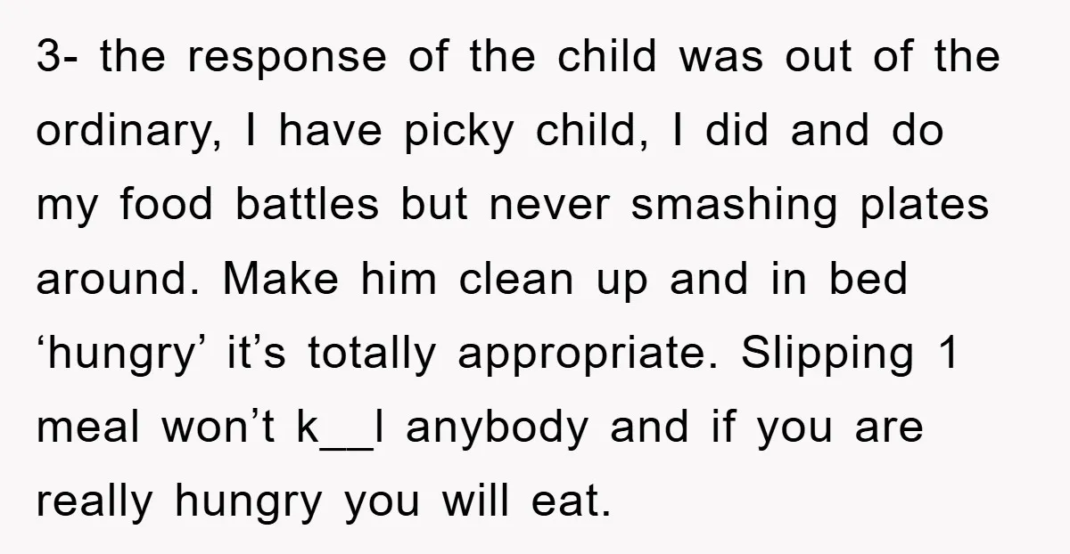 3- the response of the child was out of the ordinary, I have picky child, I did and do my food battles but never smashing plates around. Make him clean...