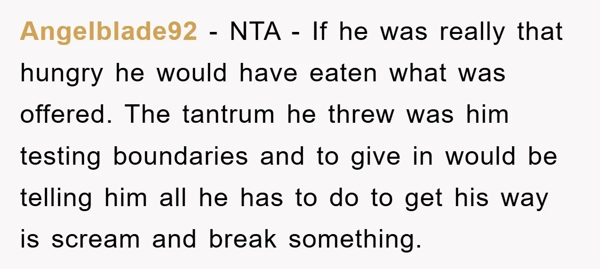 Angelblade92 - NTA - If he was really that hungry he would have eaten what was offered. The tantrum he threw was him testing boundaries and to give in would...