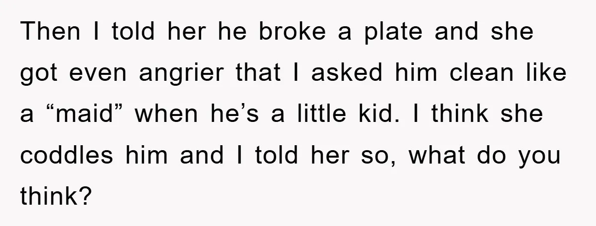 Then I told her he broke a plate and she got even angrier that I asked him clean like a “maid” when he’s a little kid. I think she coddles...