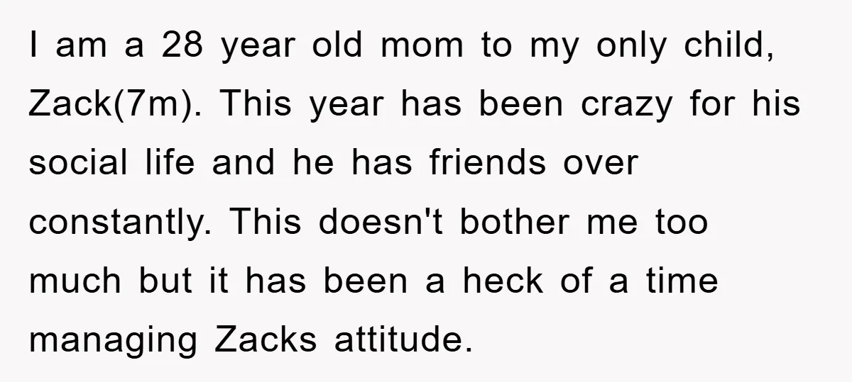 I am a 28 year old mom to my only child, Zack(7m). This year has been crazy for his social life and he has friends over constantly. This doesn't bother...