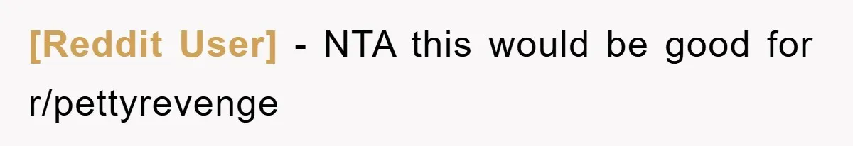 [Reddit User] - NTA this would be good for r/pettyrevenge