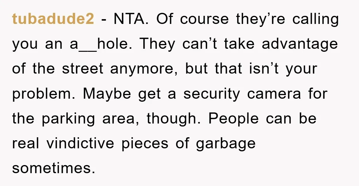tubadude2 - NTA. Of course they’re calling you an a__hole. They can’t take advantage of the street anymore, but that isn’t your problem. Maybe get a security camera for the...