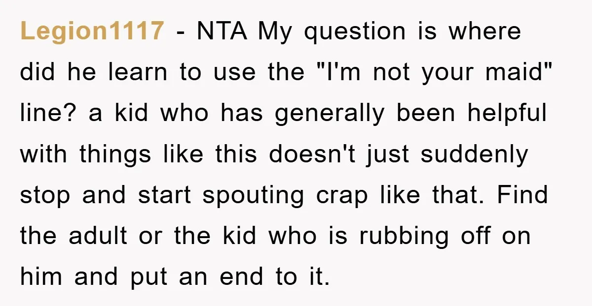 Legion1117 − NTA My question is where did he learn to use the "I'm not your maid" line? a kid who has generally been helpful with things like this doesn't...