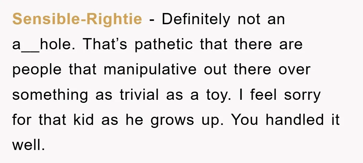 Sensible-Rightie − Definitely not an a__hole. That’s pathetic that there are people that manipulative out there over something as trivial as a toy. I feel sorry for that kid as...