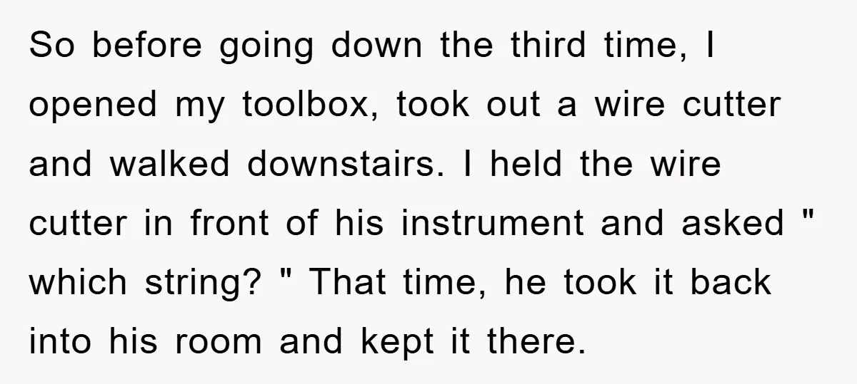 So before going down the third time, I opened my toolbox, took out a wire cutter and walked downstairs. I held the wire cutter in front of his instrument and...