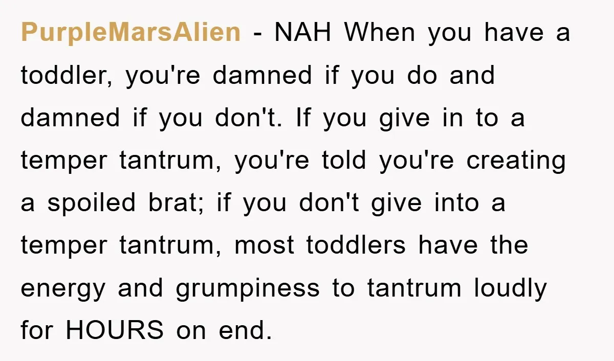 PurpleMarsAlien − NAH When you have a toddler, you're damned if you do and damned if you don't. If you give in to a temper tantrum, you're told you're creating...