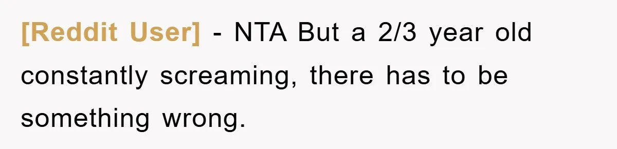 [Reddit User] − NTA But a 2/3 year old constantly screaming, there has to be something wrong.