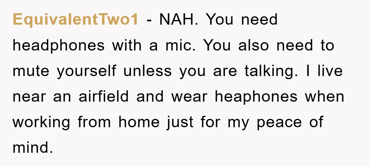 EquivalentTwo1 − NAH. You need headphones with a mic. You also need to mute yourself unless you are talking. I live near an airfield and wear heaphones when working from...