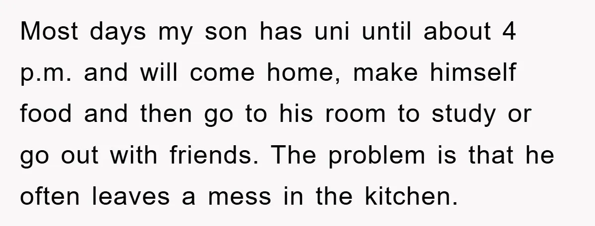 Most days my son has uni until about 4 p.m. and will come home, make himself food and then go to his room to study or go out with friends....