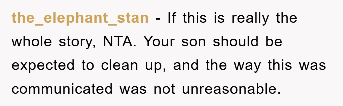 the_elephant_stan − If this is really the whole story, NTA. Your son should be expected to clean up, and the way this was communicated was not unreasonable.