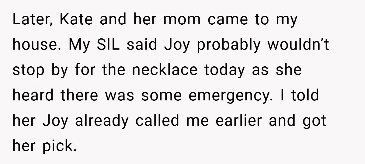 Later, Kate and her mom came to my house. My SIL said Joy probably wouldn’t stop by for the necklace today as she heard there was some emergency. I told...