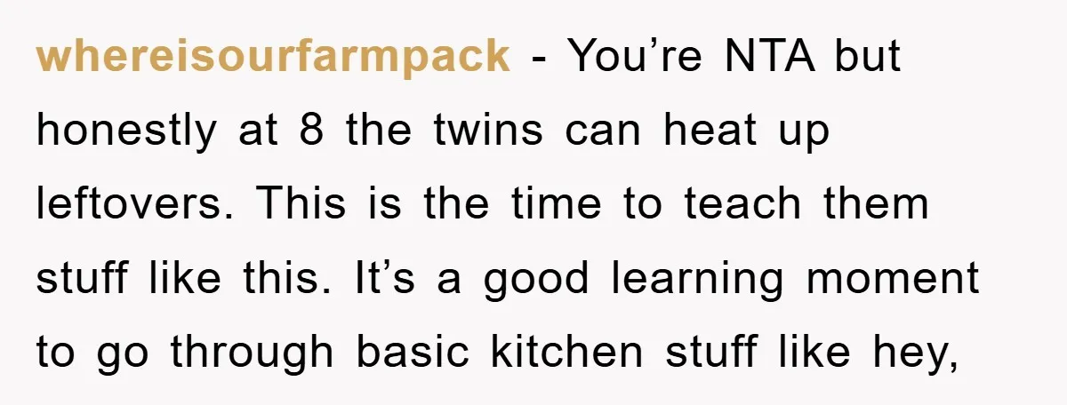 whereisourfarmpack - You’re NTA but honestly at 8 the twins can heat up leftovers. This is the time to teach them stuff like this. It’s a good learning moment to...