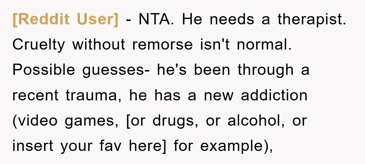 [Reddit User] - NTA. He needs a therapist. Cruelty without remorse isn't normal. Possible guesses- he's been through a recent trauma, he has a new addiction (video games, [or drugs,...