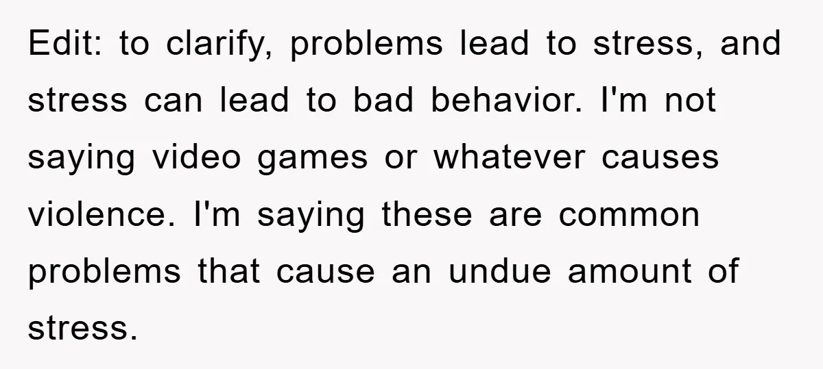 Edit: to clarify, problems lead to stress, and stress can lead to bad behavior. I'm not saying video games or whatever causes violence. I'm saying these are common problems that...