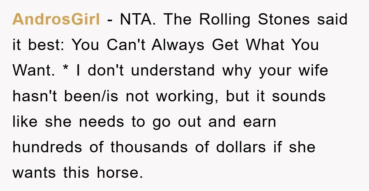AndrosGirl − NTA. The Rolling Stones said it best: You Can't Always Get What You Want. * I don't understand why your wife hasn't been/is not working, but it sounds...