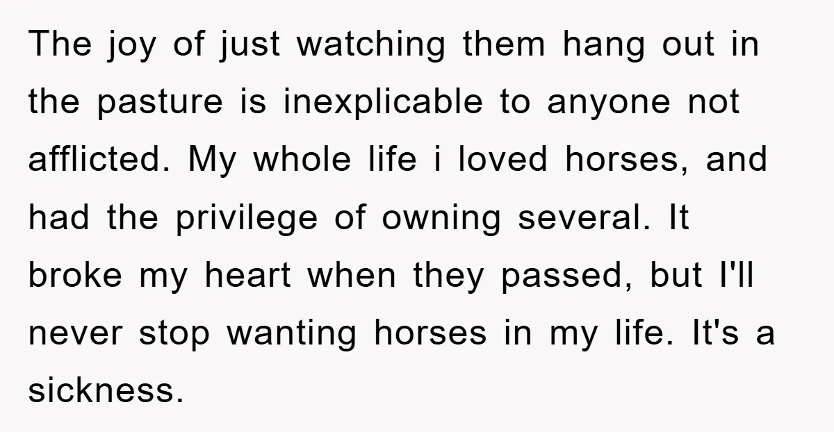 The joy of just watching them hang out in the pasture is inexplicable to anyone not afflicted. My whole life i loved horses, and had the privilege of owning several....
