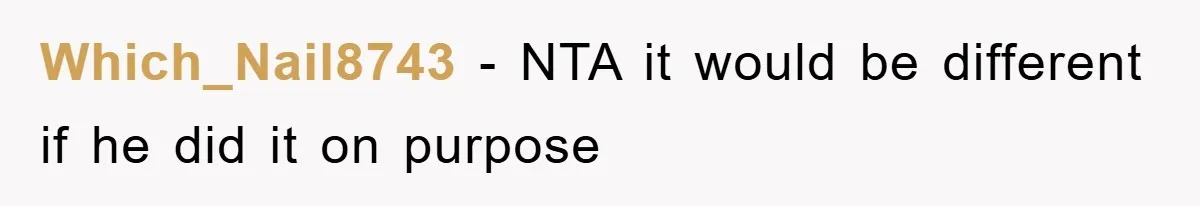 Which_Nail8743 - NTA it would be different if he did it on purpose