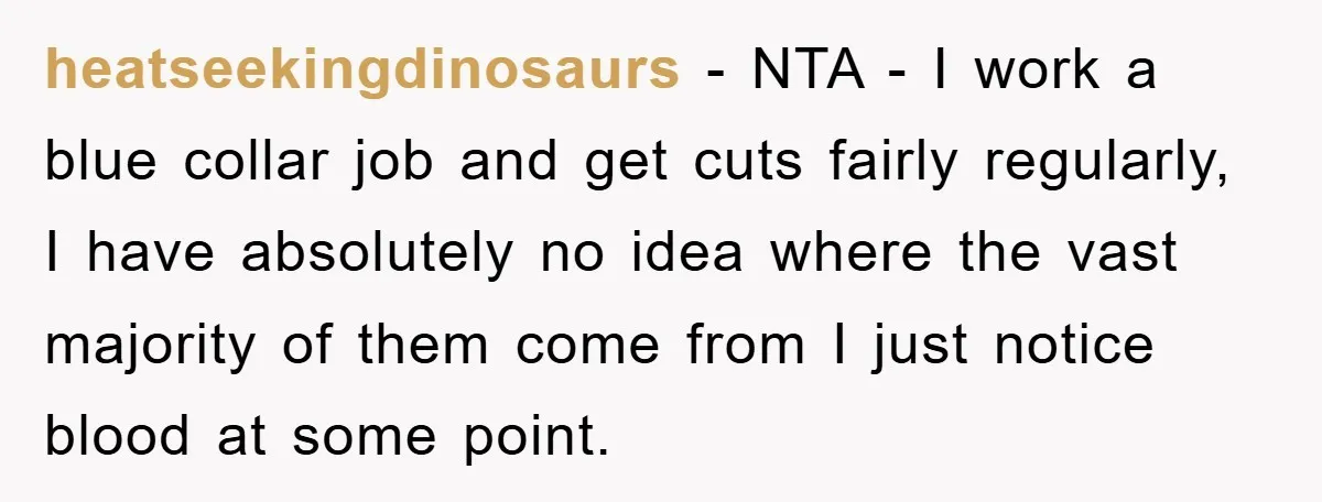 heatseekingdinosaurs - NTA - I work a blue collar job and get cuts fairly regularly, I have absolutely no idea where the vast majority of them come from I just...