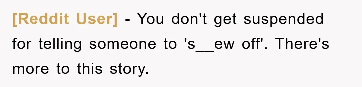 [Reddit User] − You don't get suspended for telling someone to 's__ew off'. There's more to this story.